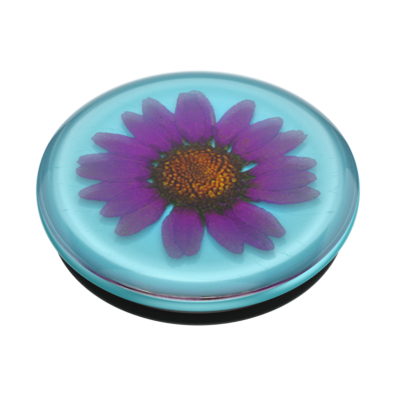 Pressed Flower Purple Daisy